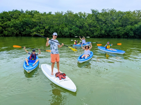 clearwater florida kayak tours